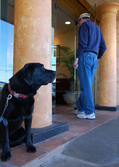 dog and customer